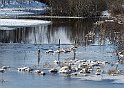 Vinter Ätran5